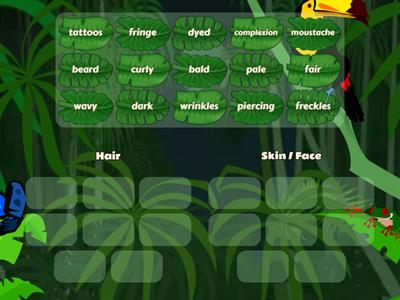 B2.2  Describing appearance