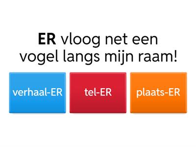 Wat voor soort ER is dit? (Nederlandse termen_