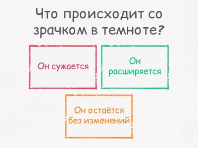 Строение глаз и их гигиена