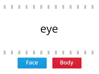 5 Parts of the face