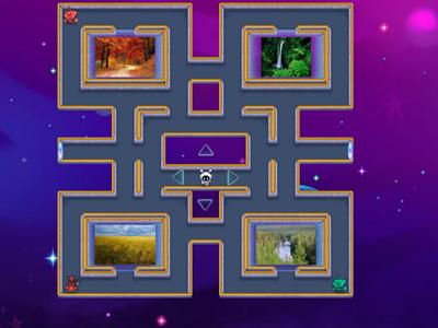 Biomes: revision for mini test