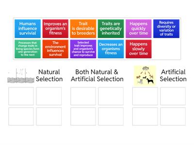 Natural and Artificial Selection