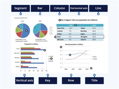 IELTS Writing Task 1 terms