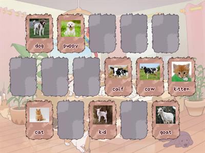  Animals and their babies