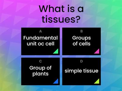 chapter 6 Tissues  class (A) Harmandeep (Science)