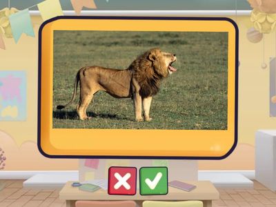 Wow3 Unit 3  Flashcards