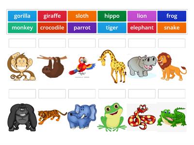 Jungle Animals - Grade 1 - Activity #1