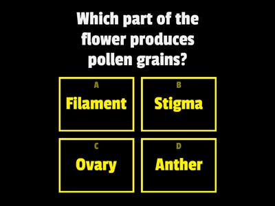  P5 Reproduction in Plants