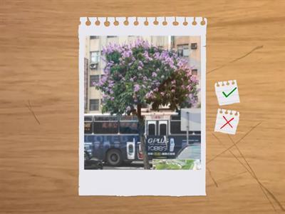 造園丙級識別圖卡