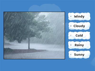 Weather Quiz (Game)