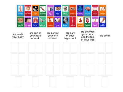Which parts of the body in the list...