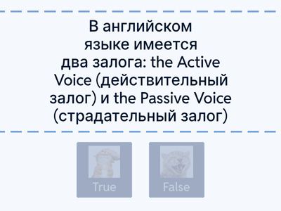 Present Simple Passive 👀