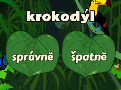 Tvrdé souhlásky najdi chyby