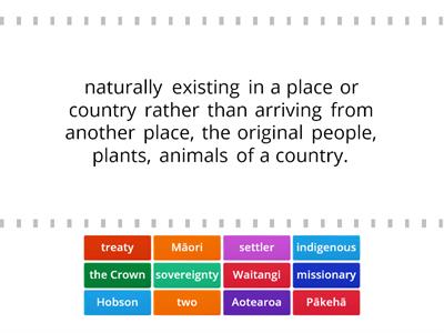 Treaty of Waitangi vocabulary