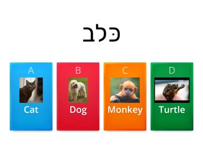 animals Hebrew