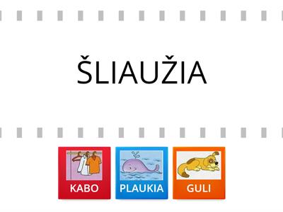 PLAUKIA, KABO, GULI, ŠLIAUŽIA...KAS? (15)