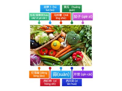 欢乐伙伴2B 蔬菜名称
