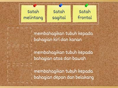 1.3: Satah 