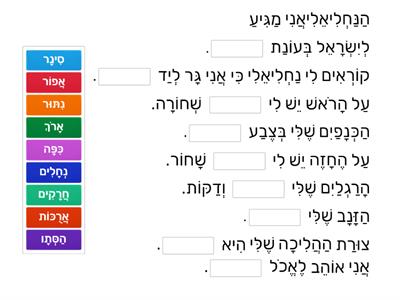 הנחליאלי- השלמת משפטים