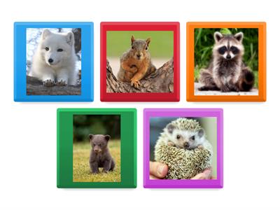 Me3a Science Flip Tiles Compass and Directions