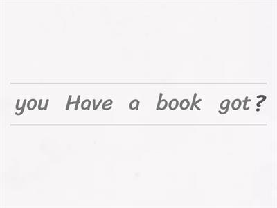have got/has got interrogative sentences