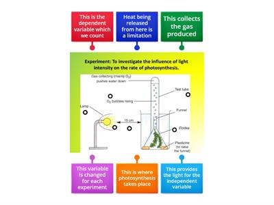 Photosynthesis Required Practical