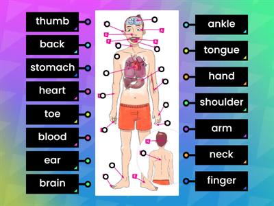 Prepare3 Unit 17 (vocabulary, p 98)