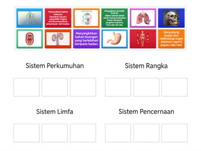 Sistem dalam Badan Manusia