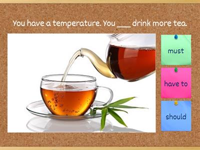 Must / have to / should