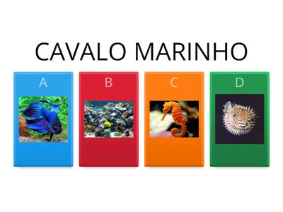 ANIMAIS MARINHOS