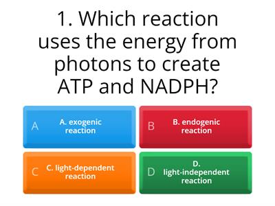 Quiz #3 Light Independent Reaction