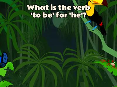 English Language Basics Quiz