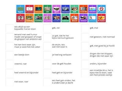 Thema 'Gek' groep 4: woordenschat