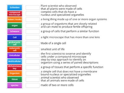 GMS Classification of living things