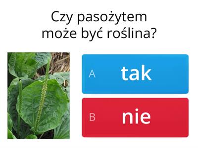 Pasożytnictwo