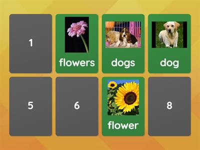 Memory game- singular and plural