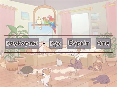 Құстар туралы не білесін ?