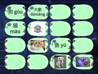 Китайский животные