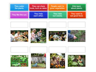 Community Garden : Benchmark Express : First grade