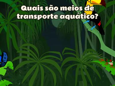 Meios de transporte - Ana P