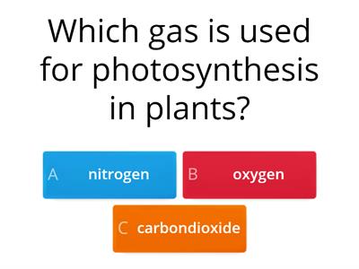 PLANTS LIFE PROCESSES