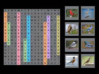 Birds (Wordsearch)