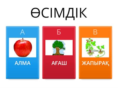 БАСТАУЫШ СЫНЫП ТАПСЫРМАЛАРЫ