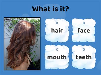  face parts quiz