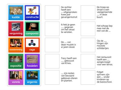 Woordenschat groep 8