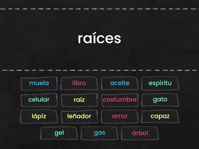 Singular y Plural