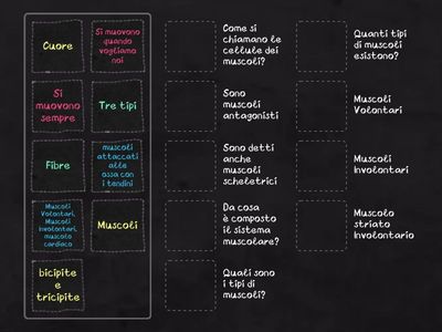 IL SISTEMA MUSCOLARE