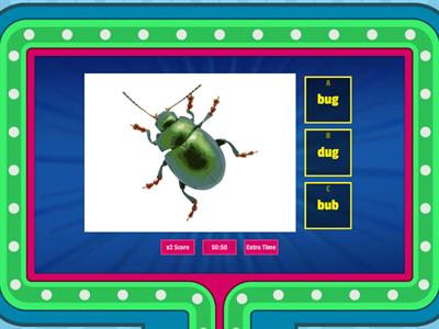 CVC b/d reversal spelling