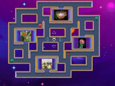 Maze Chase - Powerful Plants - Grade 4