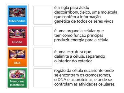  Estrutura molecular da célula hiperfoco circo.